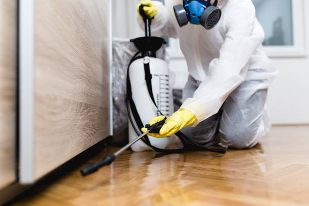 Best Local Pest Control Services  in Escatawpa, MS