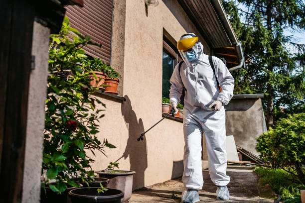Best Mosquito Control Services  in Escatawpa, MS