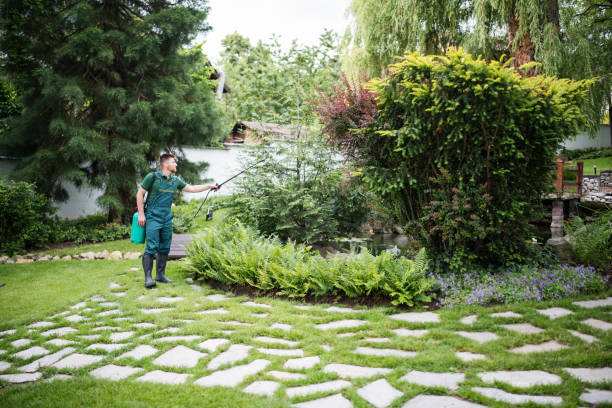 Best Pest Prevention Services  in Escatawpa, MS