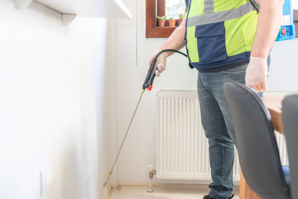 Best Wasp Removal Services  in Escatawpa, MS