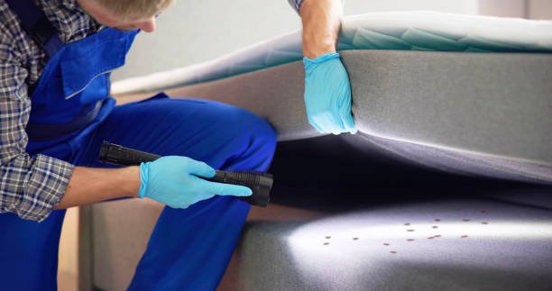 Best Affordable Exterminators  in Escatawpa, MS