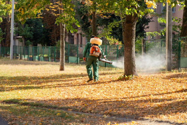 Best Insect Control  in Escatawpa, MS