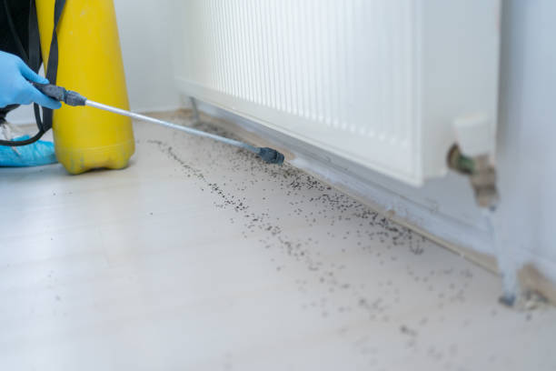 Best Pest Control for Businesses  in Escatawpa, MS