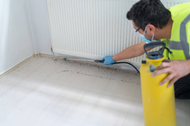 Pest Prevention Services in Escatawpa, MS
